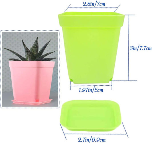 24Pack 3 Inch Plastic Plant Pots,Square Seedling Nursery Pots Succulent Flower Planter Container with Saucers for Garden,Room,Office,Balcony Decor,Multicolor