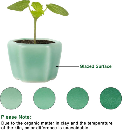 Bonsai Planter 1.8 inch (4.5cm) Mini Succulent Glazed Pots Set of 18 Green