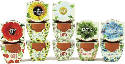 BUZZY Seeds Daydream Grow Kit 12-Pack, Terracotta Pots, Assorted Flowers