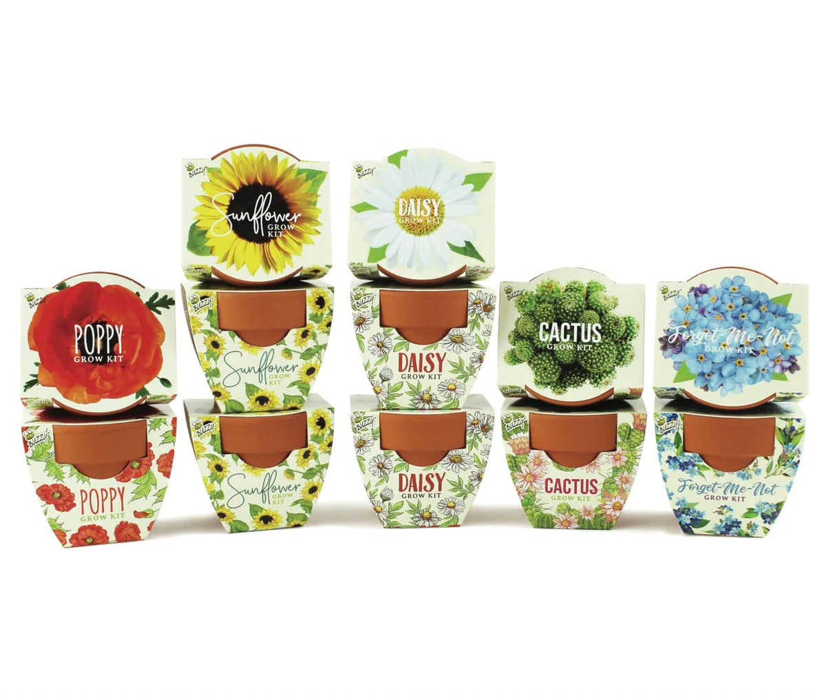 BUZZY Seeds Daydream Grow Kit 12-Pack, Terracotta Pots, Assorted Flowers