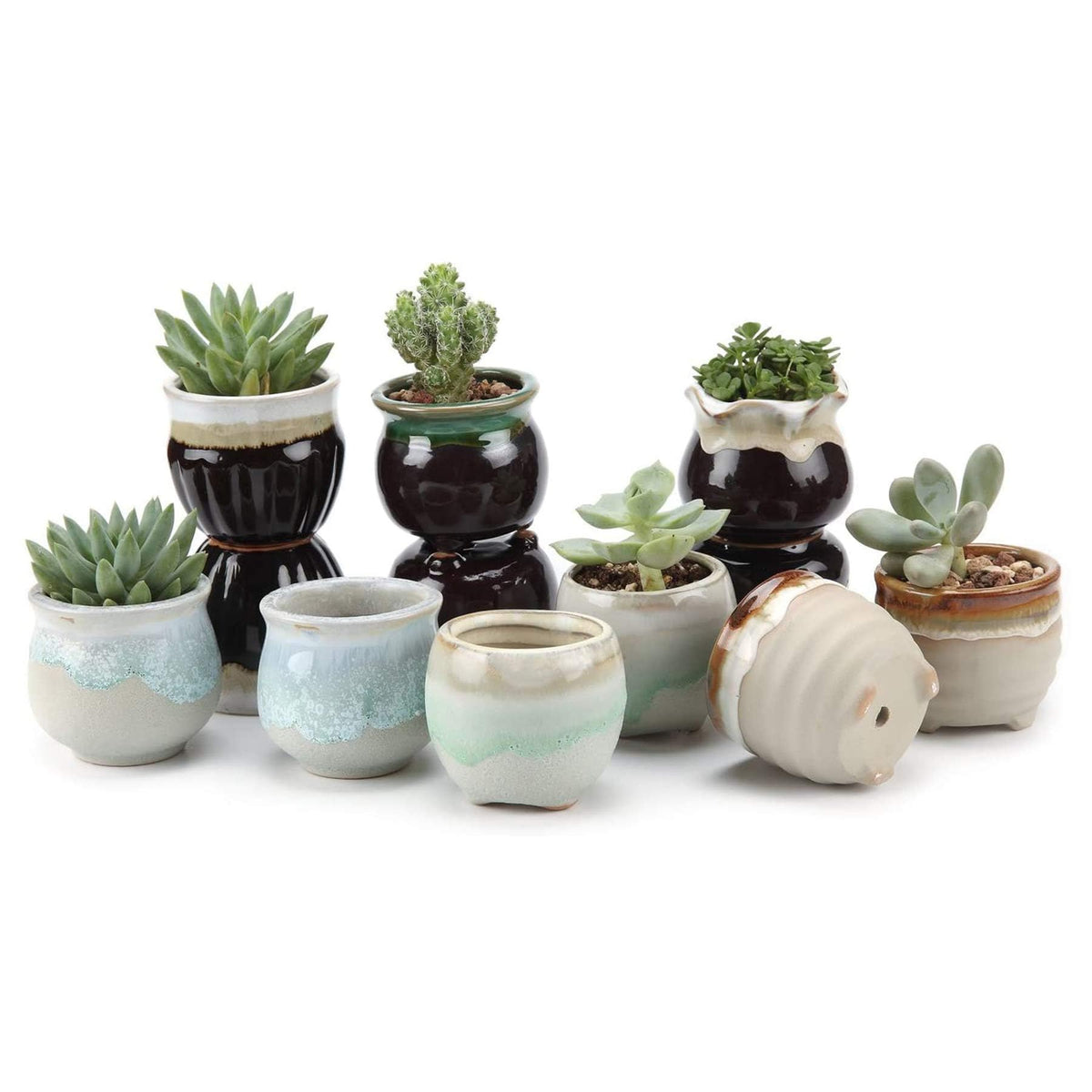 T4U Owl Succulent Pots, Mini Ceramic Gift Pots with Drainage, Retro 6 Pack