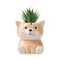DIYOMR Cute Animals Planter, Mini Ceramic Cartoon Animal Shaped Succulent Flower Pot Indoor Air Plants Holder, Smooth Shiny Decorative Flower Cactus Planter - Plants Not Included (White Bear)
