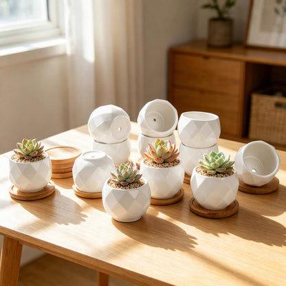 ZOUTOG 12 Pack 2.6" Mini Ceramic Succulent Pots with Drainage Hole