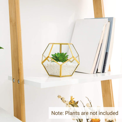 Mkono 3 Pack Geometric Glass Terrarium, 4" Gold Air Plant Holder Tabletop