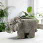 Mini Elephant Succulent Planter Pot, Cute Resin Animal Flower Pot for Succulents, Cactus & Small Plants, Small Decorative Desk Planter for Home Office Decor