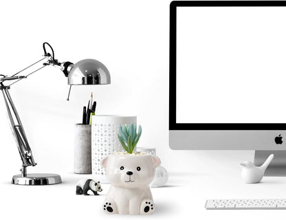 DIYOMR Cute Animals Planter, Mini Ceramic Cartoon Animal Shaped Succulent Flower Pot Indoor Air Plants Holder, Smooth Shiny Decorative Flower Cactus Planter - Plants Not Included (White Bear)