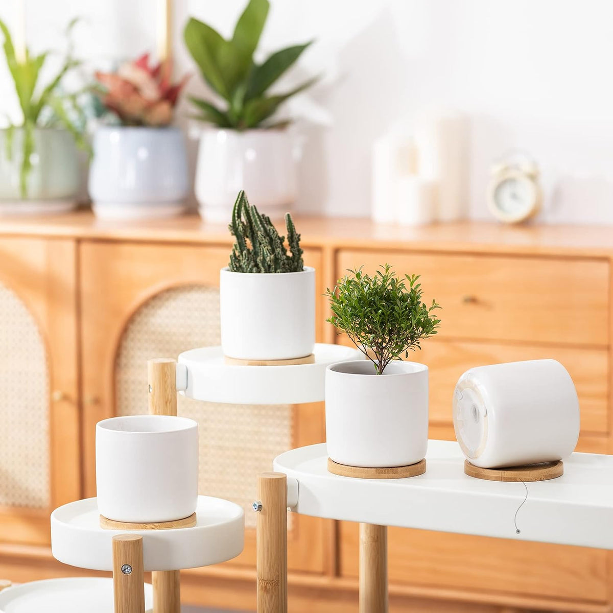 4 Inch Ceramic Plant Pot with Saucer, White Planters Pots with Drainage Hole and Mesh Pads for Succulent, Snake, Cactus, Herbs - 4 Packs(Plant Not Included)