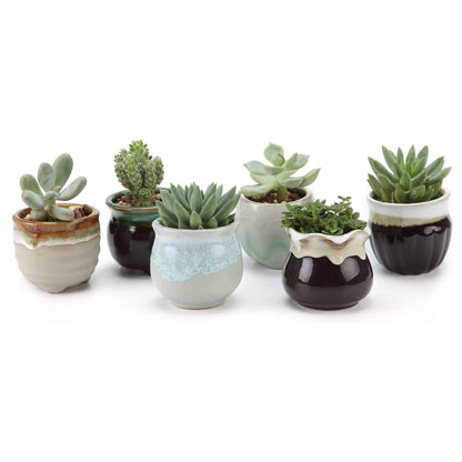 T4U Owl Succulent Pots, Mini Ceramic Gift Pots with Drainage, Retro 6 Pack