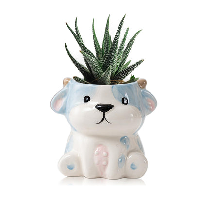 DIYOMR Cute Animals Planter, Mini Ceramic Cartoon Animal Shaped Succulent Flower Pot Indoor Air Plants Holder, Smooth Shiny Decorative Flower Cactus Planter - Plants Not Included (White Bear)