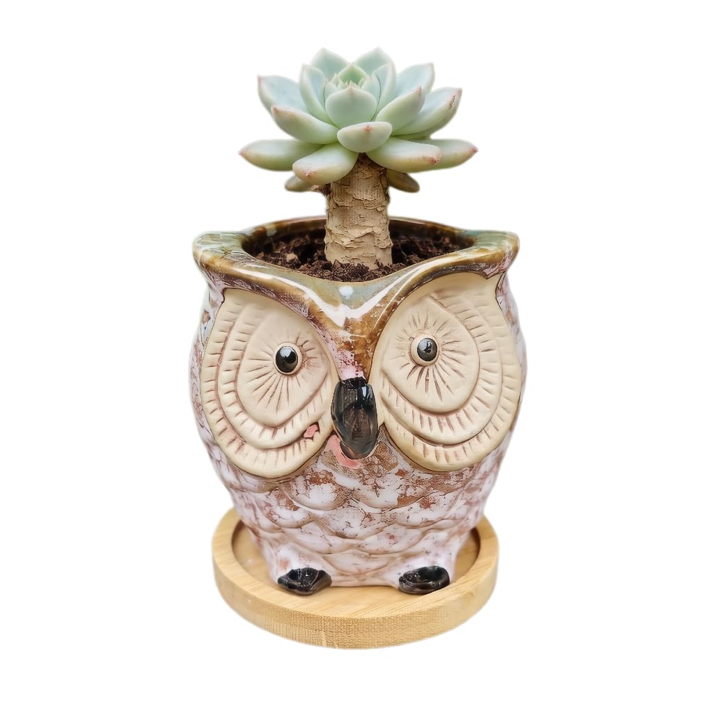 Mini 3.5 Inch Ceramic Owl Planter Pot with Drainage Hole & Bamboo Tray – Small Hand-Painted Animal Flower Pot for Succulent, Cactus, Desktop Decor, Plant Lovers Gift (No Plants/Soil)，Blue