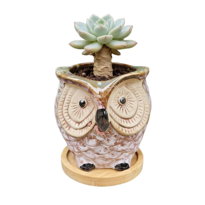Mini 3.5 Inch Ceramic Owl Planter Pot with Drainage Hole & Bamboo Tray – Small Hand-Painted Animal Flower Pot for Succulent, Cactus, Desktop Decor, Plant Lovers Gift (No Plants/Soil)，Blue
