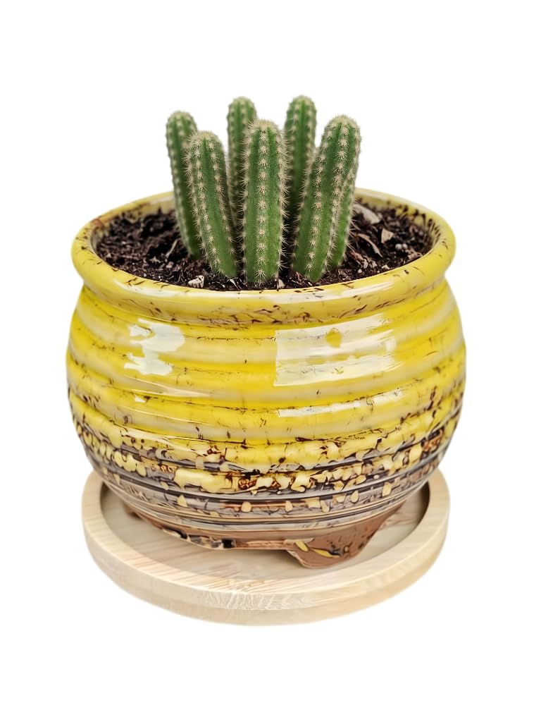 3.5 Inch Ceramic Succulent Planter Pot with Drainage Hole & Bamboo Tray - Mini Round Small Plant Pot for Indoor Desktop, Cactus Flower Container (Plant and Soil Not Included)，White