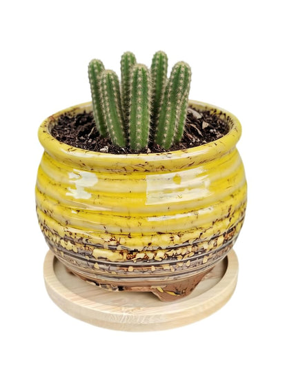 3.5 Inch Ceramic Succulent Planter Pot with Drainage Hole & Bamboo Tray - Mini Round Small Plant Pot for Indoor Desktop, Cactus Flower Container (Plant and Soil Not Included)，White