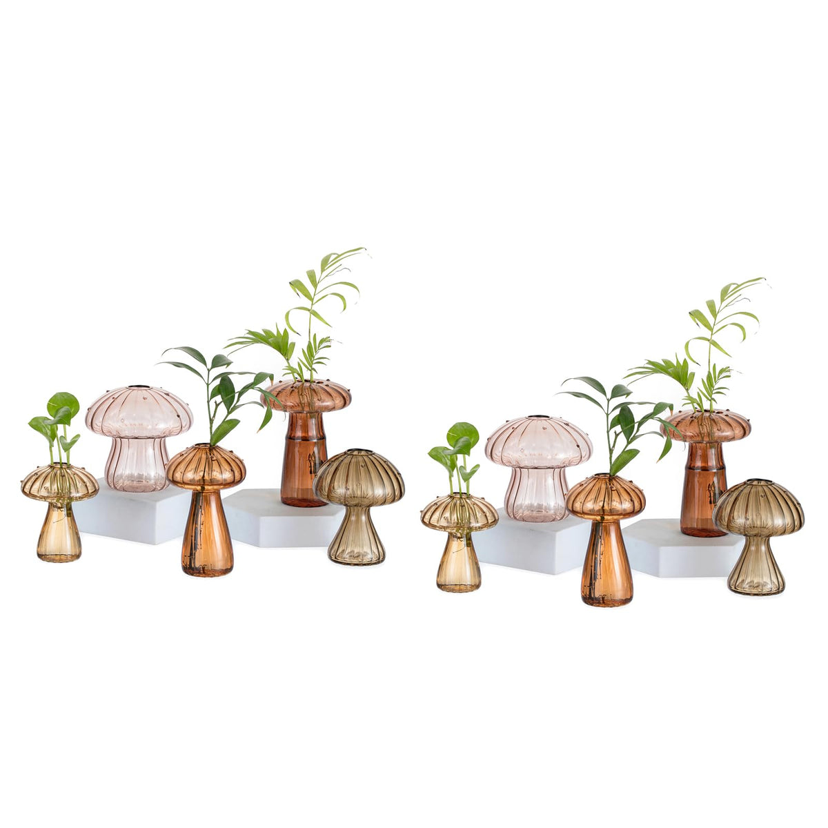 Glasseam Mushroom Plant Propagation Station, Small Glass Propagation Vases