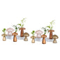 Glasseam Mushroom Plant Propagation Station, Small Glass Propagation Vases