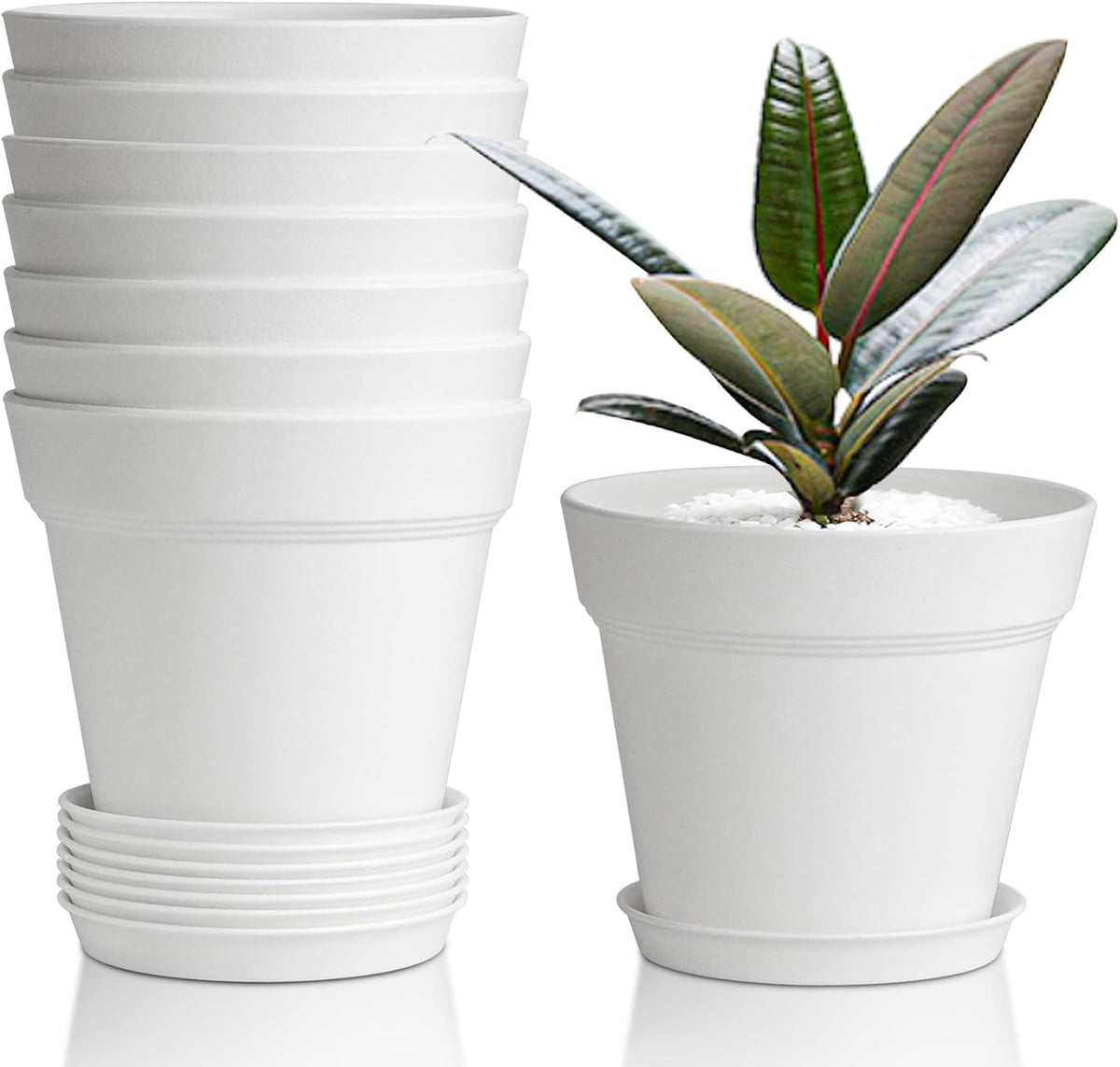 T4U Small Plant Pots 4 Inch 8 Pack, Plastic Indoor Flower Pots Saucer White