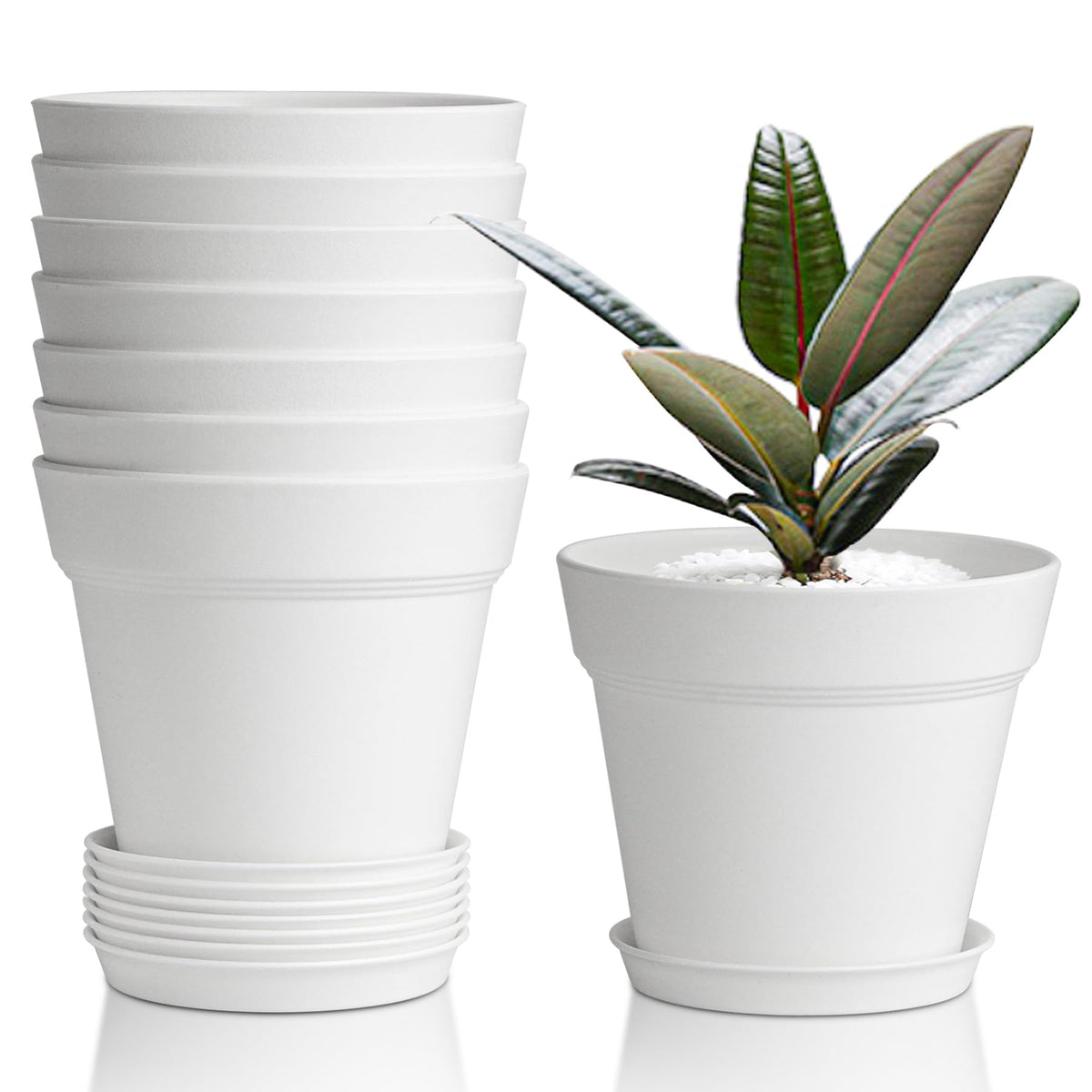 T4U Small Plant Pots 4 Inch 8 Pack, Plastic Indoor Flower Pots Saucer White