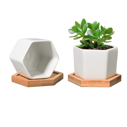 T4U Small Succulent Pots 12 Pack, Mini Flower Planters with Drainage White