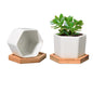 T4U Small Succulent Pots 12 Pack, Mini Flower Planters with Drainage White