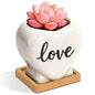 T4U Cat Ceramic Succulent Pots 3 Pcs, Animal Design Decorative Gift Planter