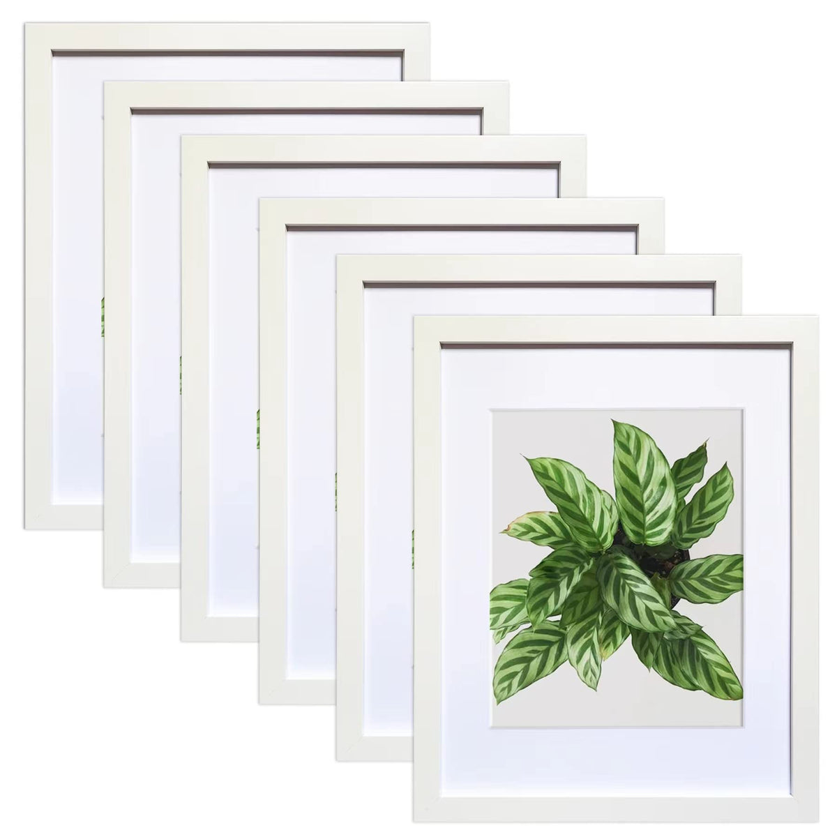 SESEAT 8x10 Picture Frame Brown Set of 6, Display Pictures 5x7 With mat or 8x10 Without Mat
