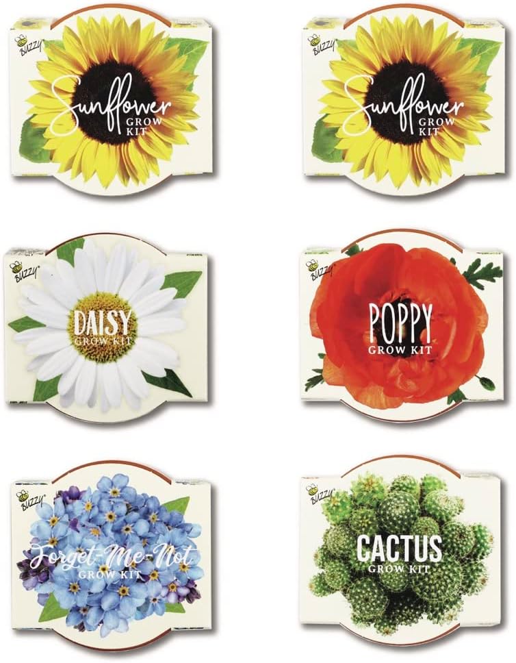 BUZZY Seeds Daydream Grow Kit 6-Pack, Terracotta Pots, Assorted Flowers