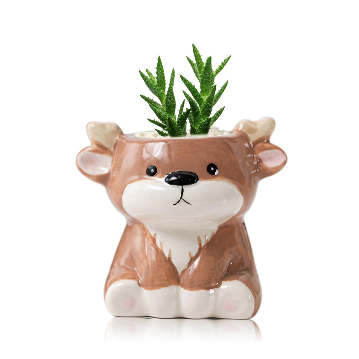 DIYOMR Cute Animals Planter, Mini Ceramic Cartoon Animal Shaped Succulent Flower Pot Indoor Air Plants Holder, Smooth Shiny Decorative Flower Cactus Planter - Plants Not Included (White Bear)