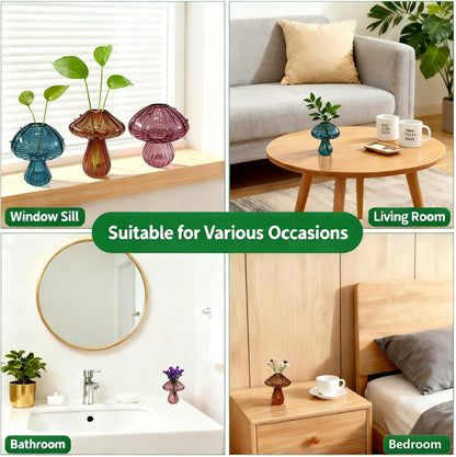 Glass Mushroom Vase Propagation Planter - Set of 3 Propagation Stations