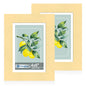 Hongkee 5x7 Picture Frame Set of 2, Real Glass and Wood Frame for Mat 4x6