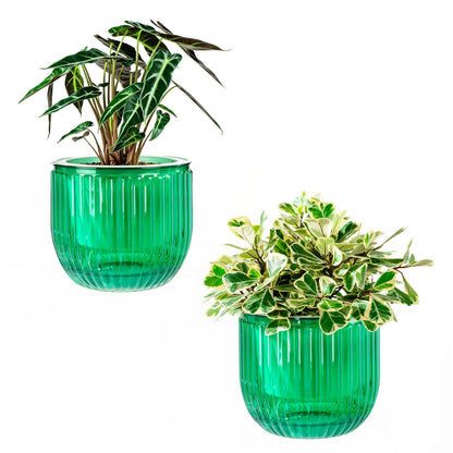Melphoe Self Watering Pots for Indoor Plants Planter, 4.3 Inch 2 Pack Planters Self Watering Plant Pots for Flower, Houseplants, Succulent, African Violets and Cactus with Drainage