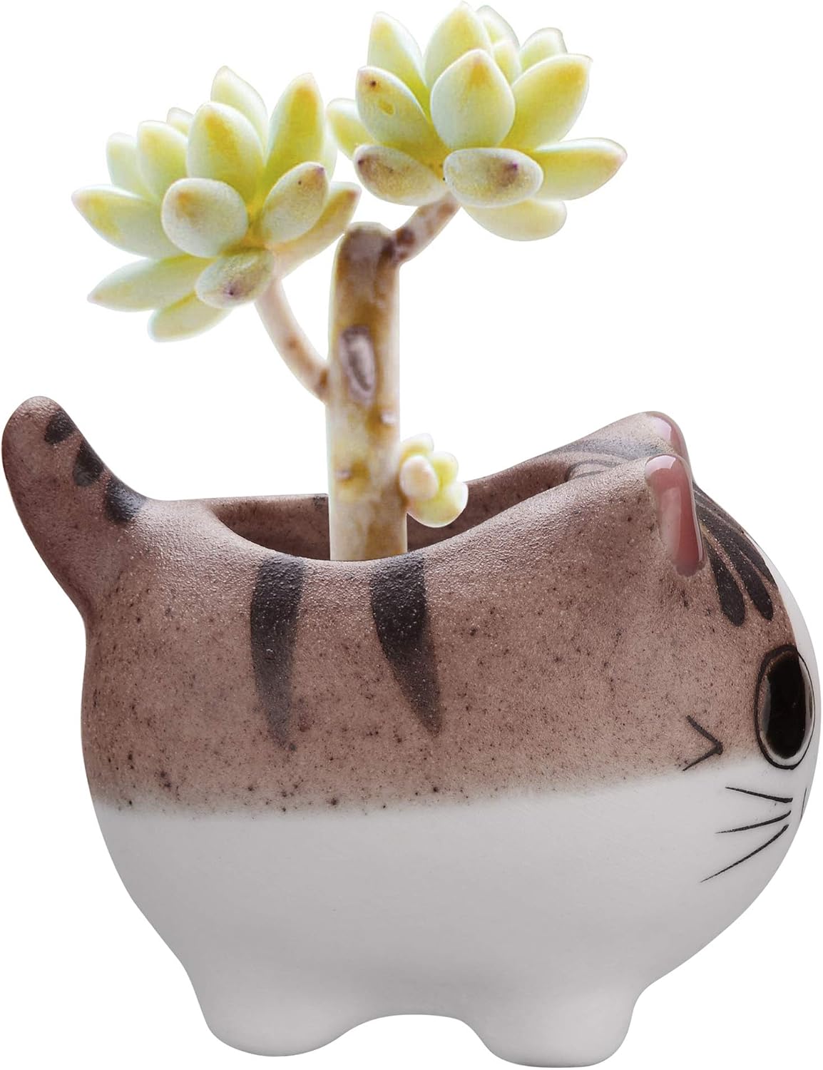 Bluecell Mini Ceramic Cute Animal Shaped Cartoon Home Decoration Vase Flower Pots Cat Shape Planter for Succulent Plant/Cactus Flower (Adorkable)