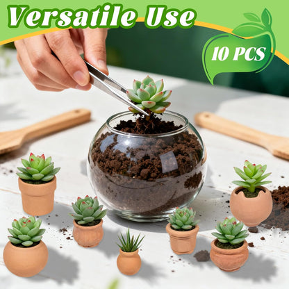 10 Pieces Mini Clay Pots Miniature Clay Pots Mini Flower Pots for Crafts