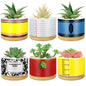 Remerry 6 Pcs Christmas Teacher Gifts Ceramic Succulent Plant Pot, Classic