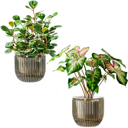 Melphoe Self Watering Pots for Indoor Plants Planter, 4.3 Inch 2 Pack Planters Self Watering Plant Pots for Flower, Houseplants, Succulent, African Violets and Cactus with Drainage