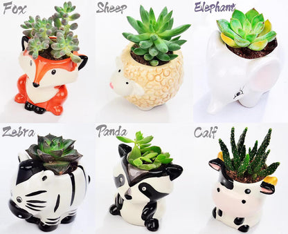Melphoe 6Pcs Air Plant Holder Cartoon Shaped Small Succulent Pots Animal Planters Small Ceramic Pot Drainage for Mini Plant Cactus Flower, Tillandsia Air Fern, Display Stand Home, Office Desktop