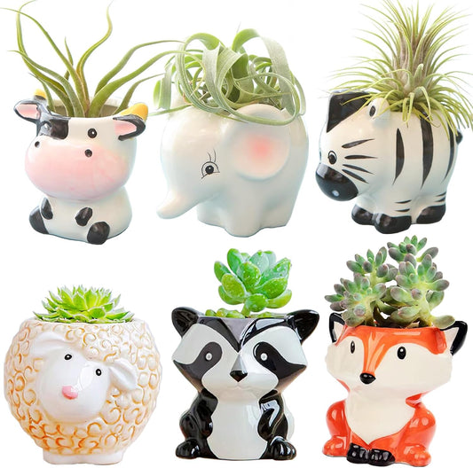 Melphoe 6Pcs Air Plant Holder Cartoon Shaped Small Succulent Pots Animal Planters Small Ceramic Pot Drainage for Mini Plant Cactus Flower, Tillandsia Air Fern, Display Stand Home, Office Desktop
