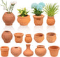 10 Pieces Mini Clay Pots Miniature Clay Pots Mini Flower Pots for Crafts