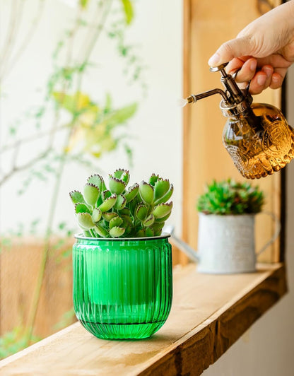 Melphoe Self Watering Pots for Indoor Plants Planter, 4.3 Inch 2 Pack Planters Self Watering Plant Pots for Flower, Houseplants, Succulent, African Violets and Cactus with Drainage