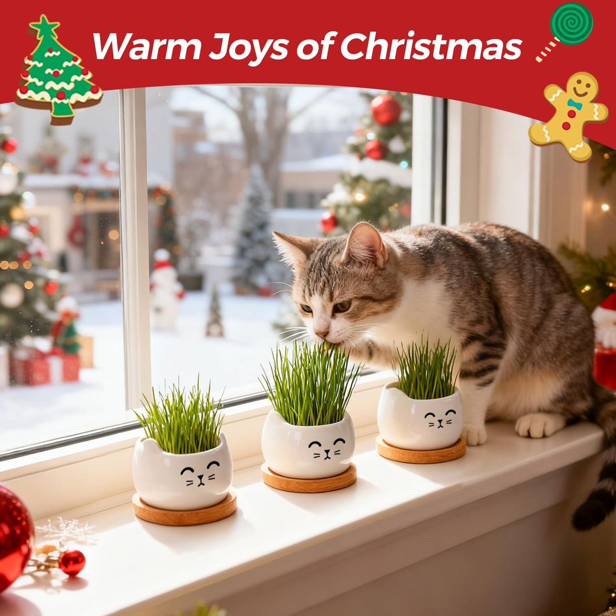 T4U Cat Ceramic Succulent Pots 3 Pcs, Animal Design Decorative Gift Planter