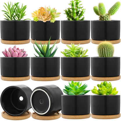 Cindeer 12 Sets Succulent Plant Pot Ceramic Succulent Pots Container Cactus Pots with Bamboo Tray Small Cylinder Flower Plant Pot with Bamboo Saucers for Plants Indoor Outdoor(White,3 x 2.17 Inch)