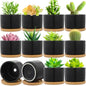 Cindeer 12 Sets Succulent Plant Pot Ceramic Succulent Pots Container Cactus Pots with Bamboo Tray Small Cylinder Flower Plant Pot with Bamboo Saucers for Plants Indoor Outdoor(White,3 x 2.17 Inch)