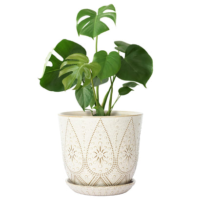 Gepege Ceramic Succulent Pots, 4 Inch Small Plant Pots with Drainage