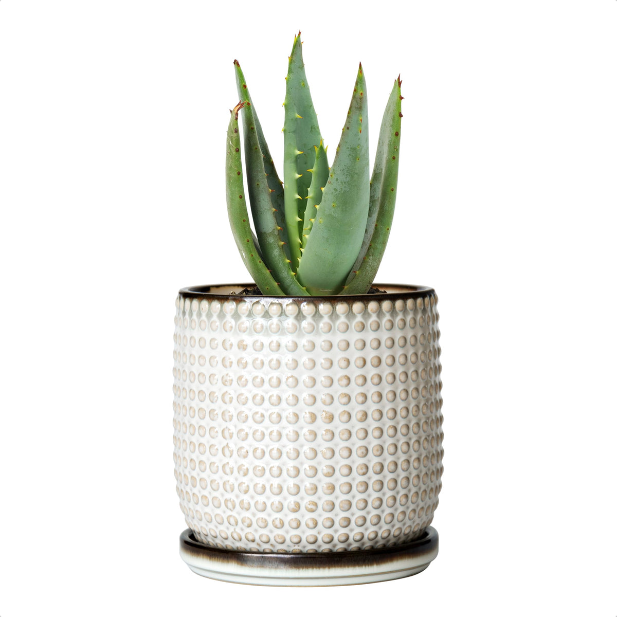 D'vine Dev Beaded Ceramic Pot with Saucer, 4 in, Midnight Blue, 27-C-Z-3
