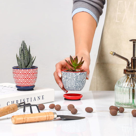 Selamica Ceramic 2.4 Inch Succulent Pots, Mini Flower Pots for Cactus Plant with Drainage Holes & Saucers, Home Decor, Set of 6, Assorted Colors