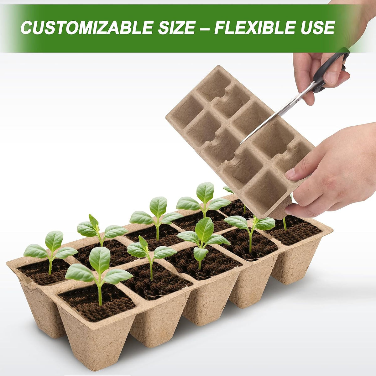 200 Cells Peat Pots, Seed Starter Trays Planting Trays for Seedlings
