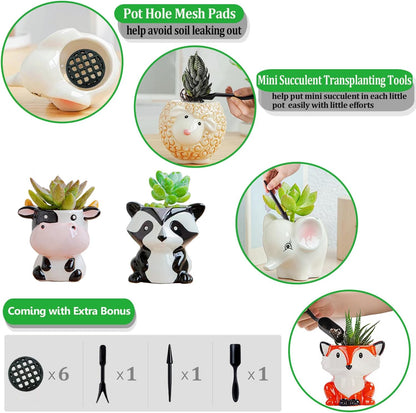 Melphoe 6Pcs Air Plant Holder Cartoon Shaped Small Succulent Pots Animal Planters Small Ceramic Pot Drainage for Mini Plant Cactus Flower, Tillandsia Air Fern, Display Stand Home, Office Desktop