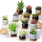 Remerry 24 Pcs Ceramic Succulent Pots 2.5 Inch with Drainage Bamboo Tray