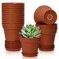 T4U Small Plant Pots 5 Inch 18 Pack, Plastic Flower Pots with Saucer White