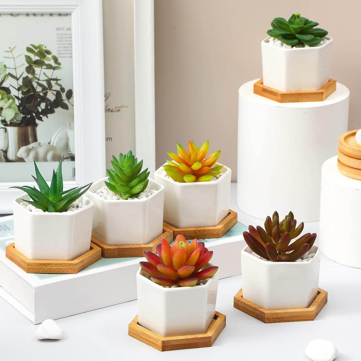 Gerrii Succulent Pots Mini White Ceramic Flower Planter Pot Succulent Planters with Wooden Trays and Drainage Holes for Plants Cactus Home Office Decoration, Plants Not Included(24 Pcs)