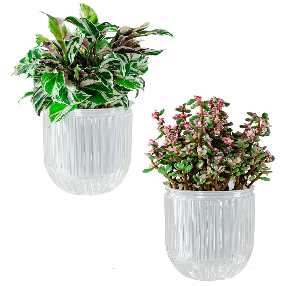 Melphoe Self Watering Pots for Indoor Plants Planter, 4.3 Inch 2 Pack Planters Self Watering Plant Pots for Flower, Houseplants, Succulent, African Violets and Cactus with Drainage